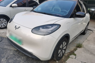 五菱汽车 五菱缤果 2025款 333km 悦享款