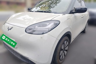 五菱汽车 五菱缤果 2023款 333km 悦享款