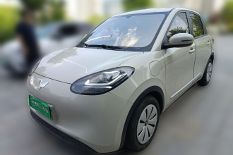 五菱汽车 五菱缤果 2023款 333km 快享款