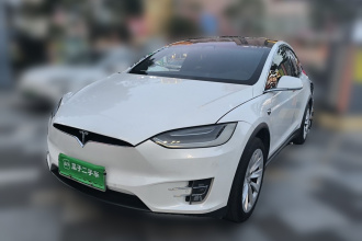 特斯拉 Model X 2020款 长续航升级版