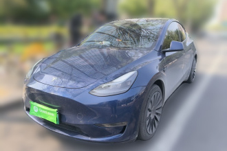 特斯拉 Model Y 2021款 改款 长续航全轮驱动版 3D5