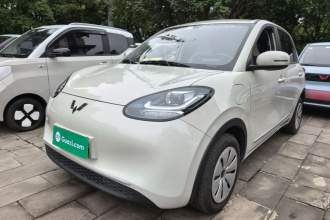 五菱汽车 五菱缤果 2024款 203km 轻享款
