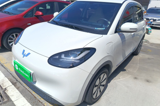 五菱汽车 五菱缤果 2024款 333km 悦享款