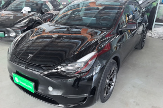 特斯拉 Model Y 2023款 长续航全轮驱动版