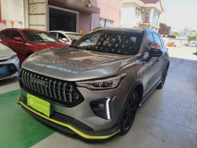 哈弗赤兔 2021款 激擎版 1.5T 黄金兔