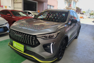 哈弗赤兔 2021款 激擎版 1.5T 黄金兔