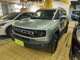 捷途自由者 2025款 2.0TD XWD征服