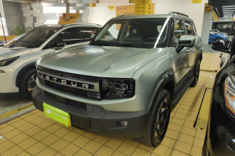 捷途自由者 2025款 2.0TD 自动XWD征服