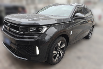 大众 揽巡 2024款 380TSI 四驱R-Line巡游 众享款
