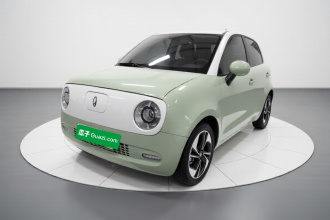 欧拉黑猫 2021款 351km 豪华型