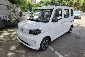 五菱汽车 五菱之光新能源 2025款 305km 进取型