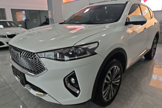 哈弗F7 2021款 2.0T 两驱i动
