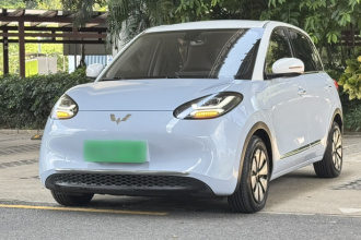五菱汽车 五菱缤果 2023款 410km 灵犀尊享款