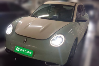 欧拉好猫 2024款 401km 豪华型