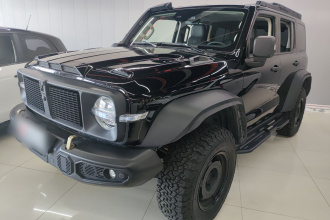 坦克300 2023款 2.0T 铁骑02