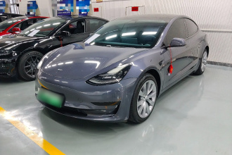 特斯拉 Model 3 2020款 改款 标准续航后驱升级版