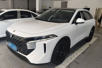 启辰大V 2021款 260T 天王版