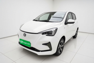 长安 奔奔E-Star 2020款 心动版 三元锂