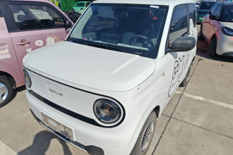 吉利银河 2024款 熊猫mini 200km 耐力熊