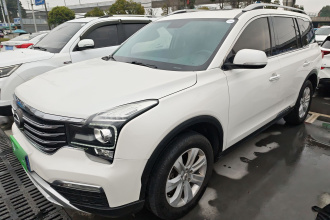 广汽传祺 传祺GS8 2017款  320T 两驱豪华版（七座）