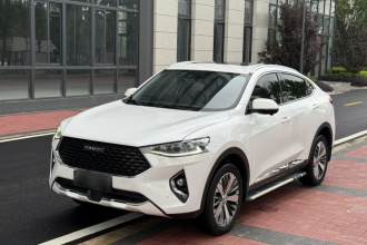 哈弗F7x 2019款 2.0T 两驱极智科技版