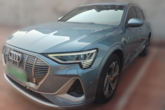 奥迪e-tron 2021款 50 quattro 臻选型
