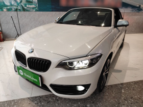 宝马2系(进口) 2019款 225i 敞篷轿跑车 运动设计套装