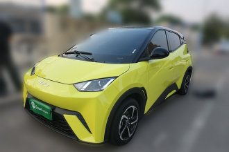比亚迪 海鸥 2024款 荣耀版 305km 活力版
