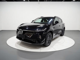 岚图汽车 岚图知音 2024款 四驱全球版