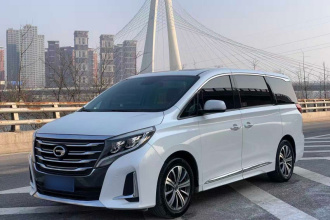 广汽传祺 传祺M8 2020款 领航款 390T 尊贵版