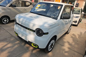 吉利银河 2025款 熊猫mini 210km 元气熊