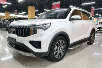 起亚 智跑 2021款 Ace 2.0L 精彩版