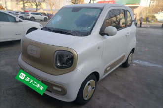 奔腾小马 2024款 170km 活力马