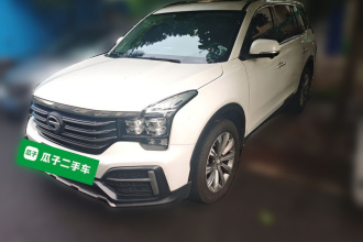 广汽传祺 传祺GS8 2020款 390T 两驱豪华智联版（七座）