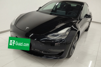 特斯拉 Model 3 2020款 改款 长续航后轮驱动版