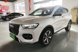 哈弗H6 2021款 1.5T 自动冠军版