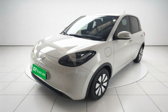 五菱汽车 五菱缤果 2024款 333km 悦享款