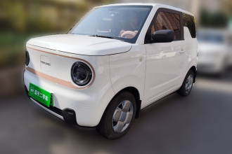 吉利银河 2024款 熊猫mini 200km 耐力熊