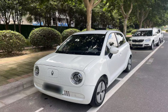 欧拉黑猫 2022款 301km 萌宠版 磷酸铁锂