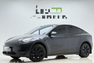 特斯拉 Model Y 2024款 后轮驱动版