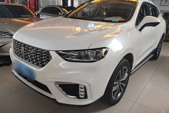 魏牌 VV5 2021款 1.5T 两驱颜先锋