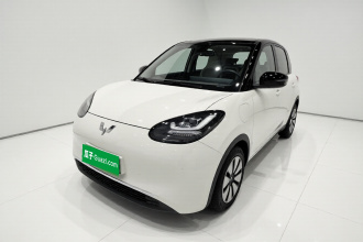五菱汽车 五菱缤果 2023款 333km 灵犀互联款
