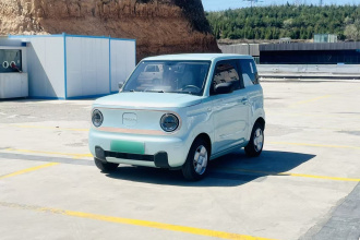 吉利银河 2024款 熊猫mini 200km 耐力熊
