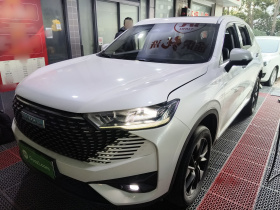 哈弗H6新能源 2023款 DHT-PHEV 110KM 悦行版
