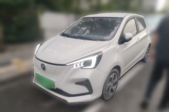 长安 奔奔E-Star 2022款 赏心版 多彩款 磷酸铁锂