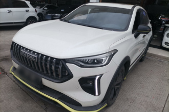 哈弗赤兔 2021款 激擎版 1.5T 黄金兔