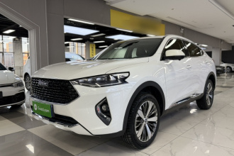 哈弗F7x 2019款 1.5T 两驱极智潮玩版