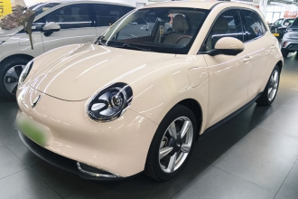 欧拉好猫 2023款 401km标准续航 豪华型 磷酸铁锂
