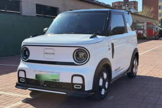 吉利银河 2025款 210km 熊猫卡丁