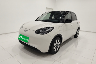 五菱汽车 五菱缤果 2023款 333km 悦享款